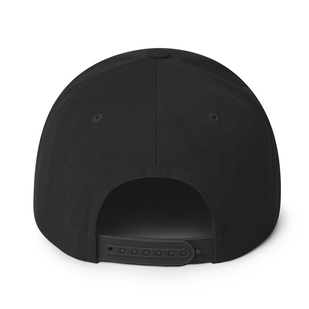DTLR SUPPLY - Black Snap Back Hat - Image 3